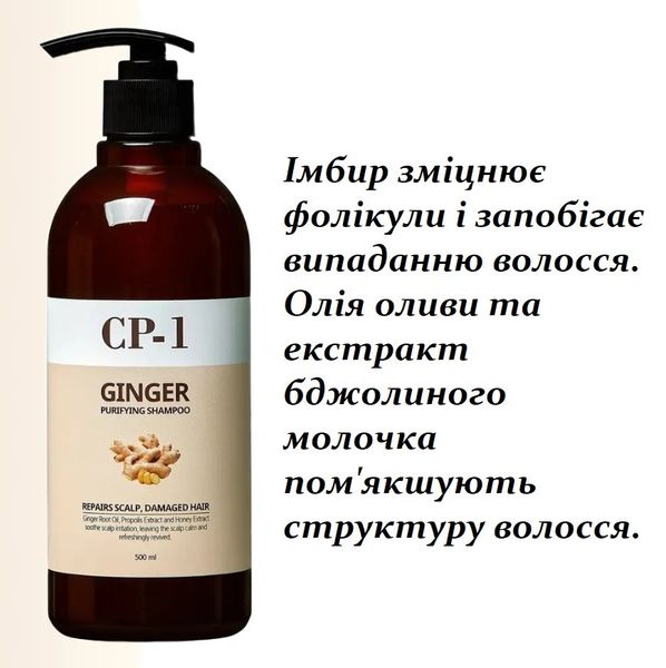 Шампунь для волос с экстрактом имбиря Esthetic House CP-1 Ginger Purifying Shampoo - 500 мл 12005 фото