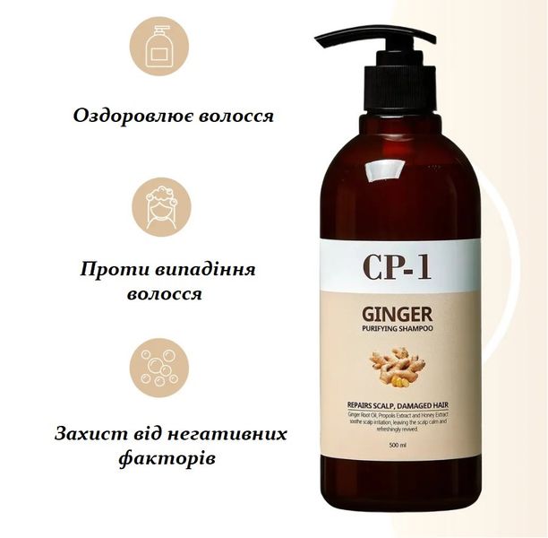 Шампунь для волос с экстрактом имбиря Esthetic House CP-1 Ginger Purifying Shampoo - 500 мл 12005 фото