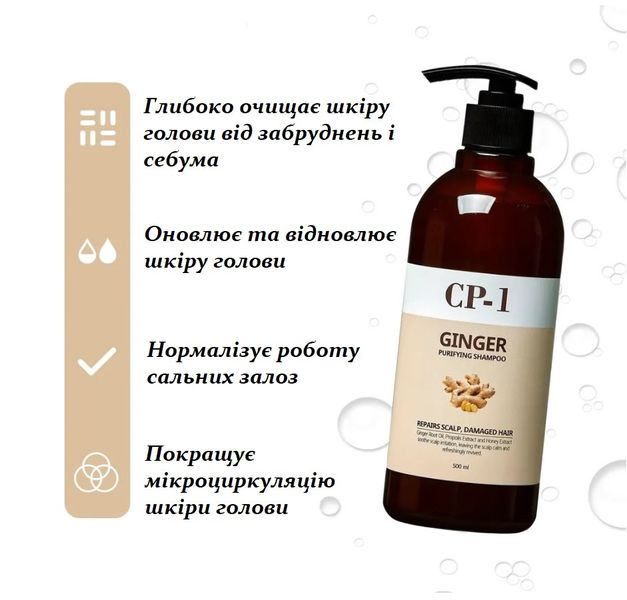 Шампунь для волос с экстрактом имбиря Esthetic House CP-1 Ginger Purifying Shampoo - 500 мл 12005 фото